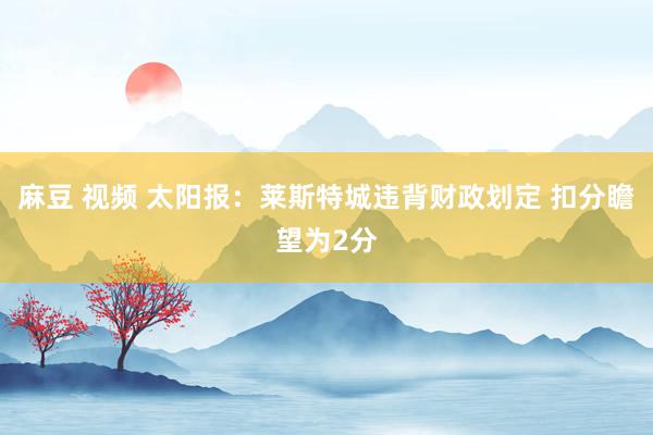 麻豆 视频 太阳报:莱斯特城违背财政划定 扣分瞻望为2分