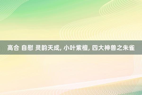 高合 自慰 灵韵天成， 小叶紫檀， 四大神兽之朱雀
